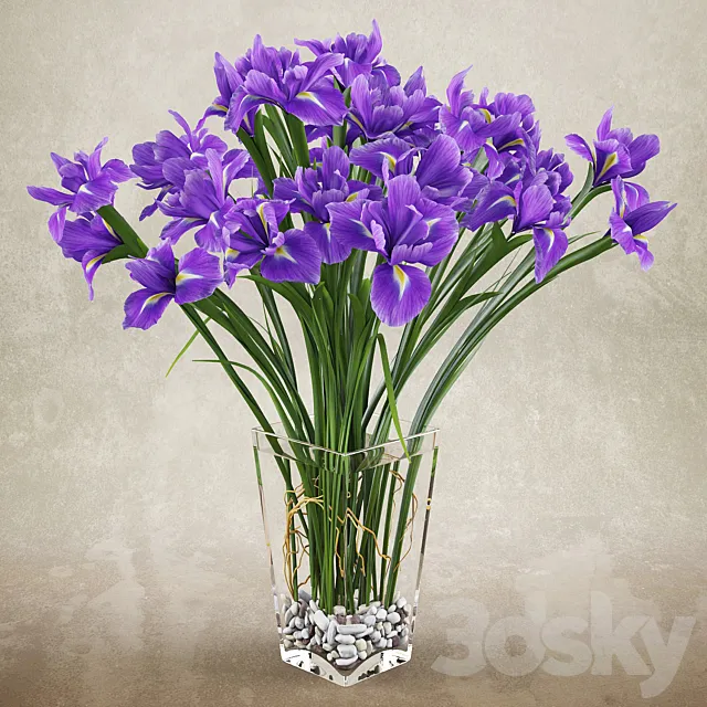 Irises 2 3DModel Irises 2 3DModel