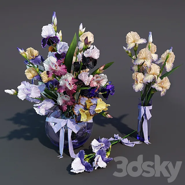 Irises 3D Model Irises 3D Model