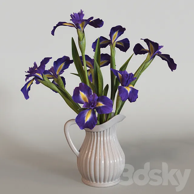 Irises 3DModel Irises 3DModel