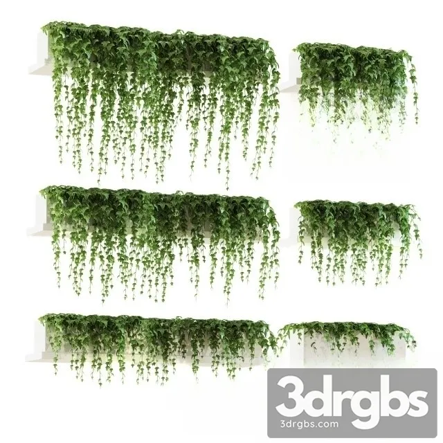 Ivy 4 Polki 3D Model Download