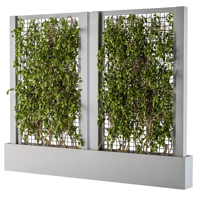 ivy Box Plants Gray 3D Model ivy Box Plants Gray 3D Model