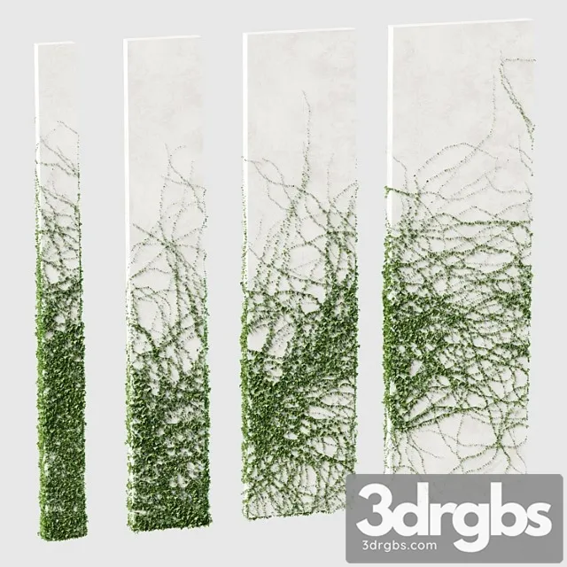 Ivy for rectangular columns. 4 models Ivy for rectangular columns. 4 models