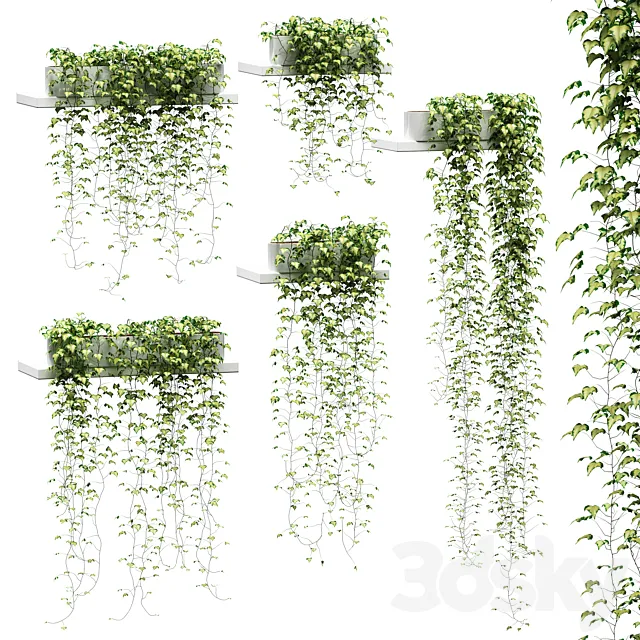 Ivy for shelves v2 3DModel Ivy for shelves v2 3DModel