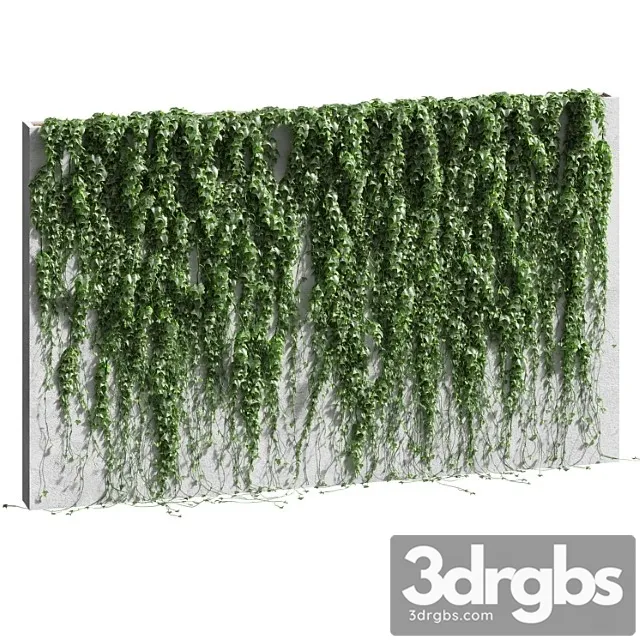 Ivy for the fence v2 Ivy for the fence v2