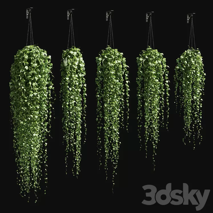 Ivy in a pot on the chain v3 3D Model