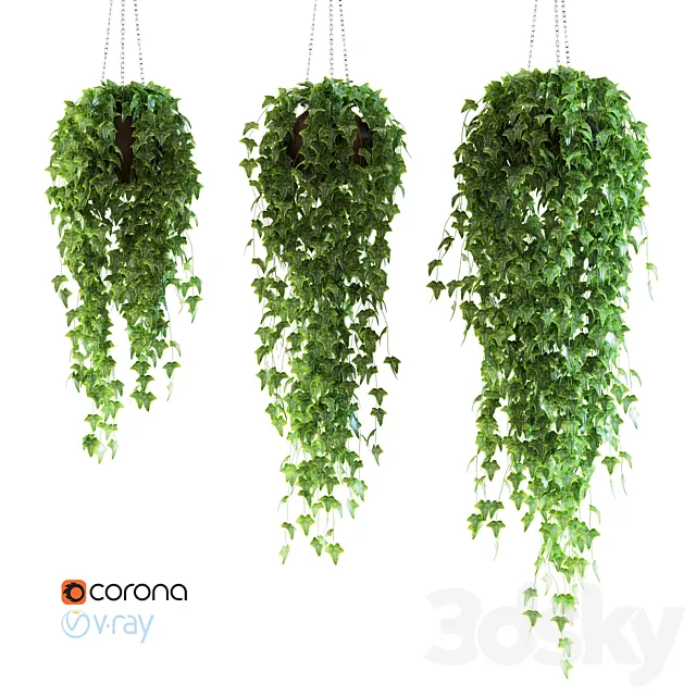 Ivy in a pot on the circuit 3DModel Ivy in a pot on the circuit 3DModel