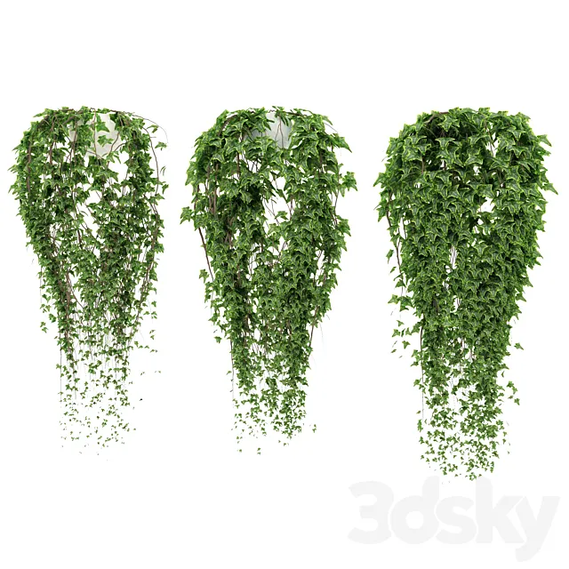 Ivy in pot 3DModel
