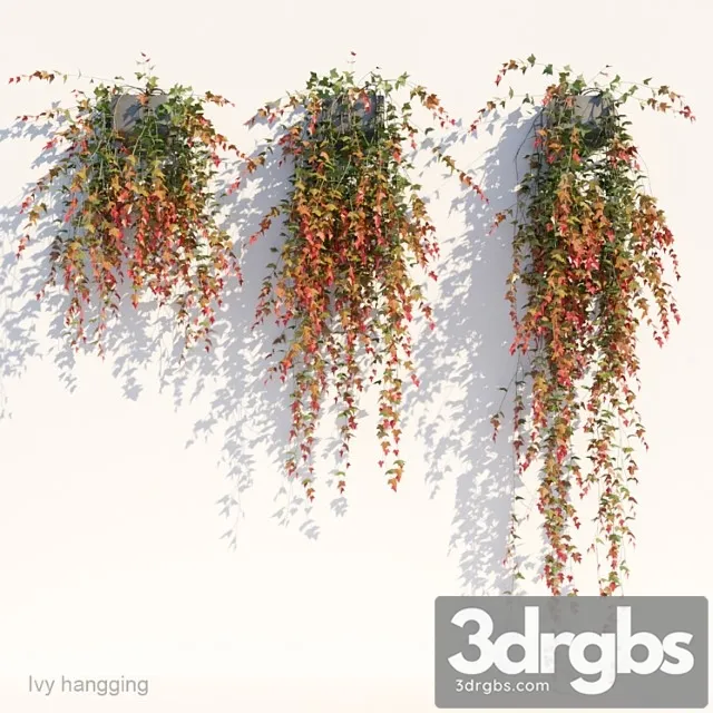 Ivy In Pot Hanging V1 3D Model Download