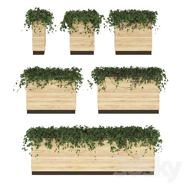 Ivy in pots. 6 Models 3DModel