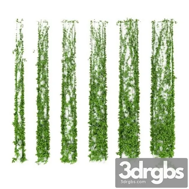Ivy Leaves Plant Columns 3D Model Download