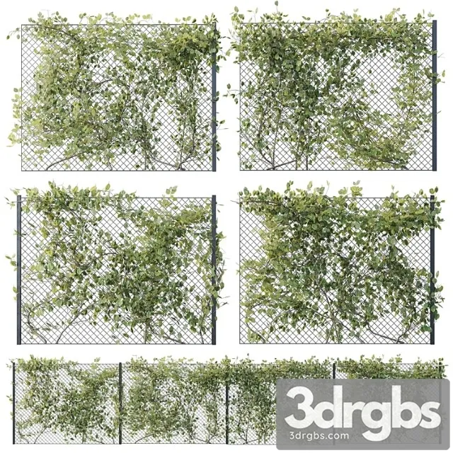 Ivy on fence 02 3D Model Download Ivy on fence 02 3D Model Download