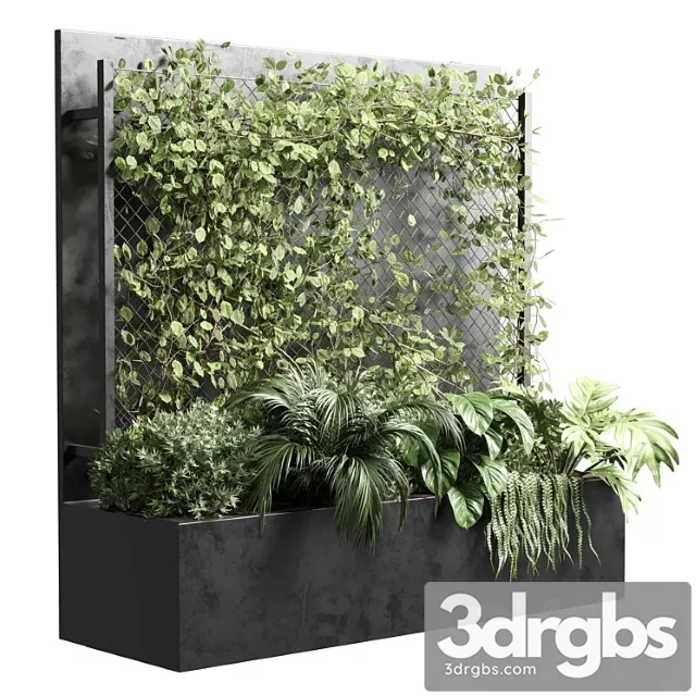 Ivy on Fence Fitowall Vertical Garden Box 01 3D Model Download