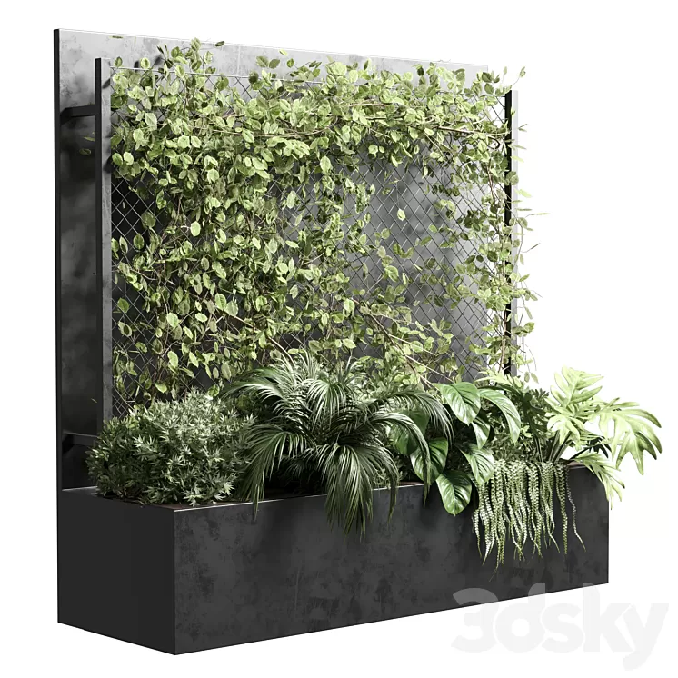 Ivy on Fence fitowall – vertical garden box 01 3D Model Free Download