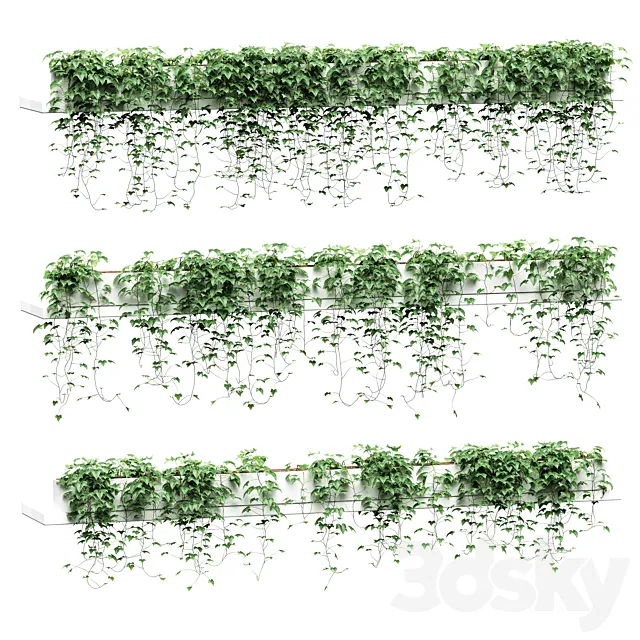 Ivy on long shelves. 3 models 3D Model Ivy on long shelves. 3 models 3D Model
