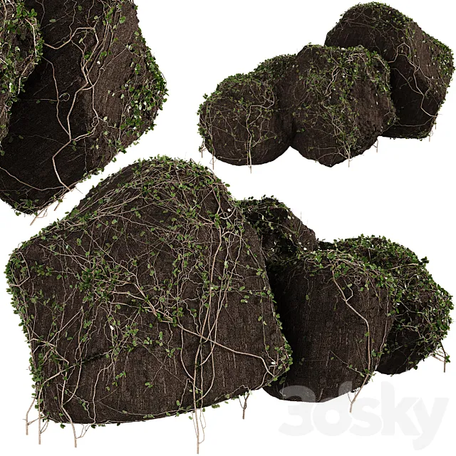 Ivy on stones 01 3D Model