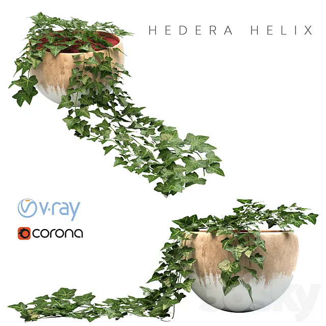 ivy planter 3D Model