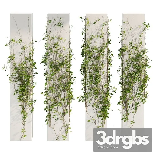 Ivy Plants 01 3D Model Download