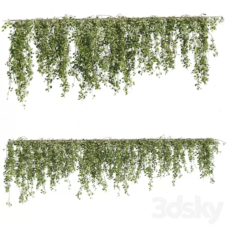 Ivy Plants 05 3D Model Free Download