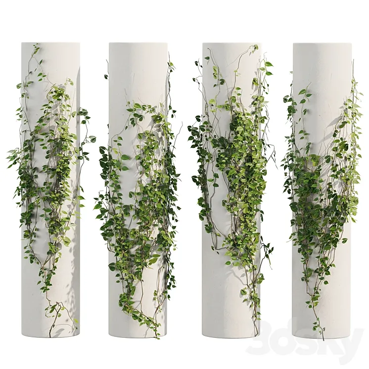 Ivy Plants 3D Model Free Download