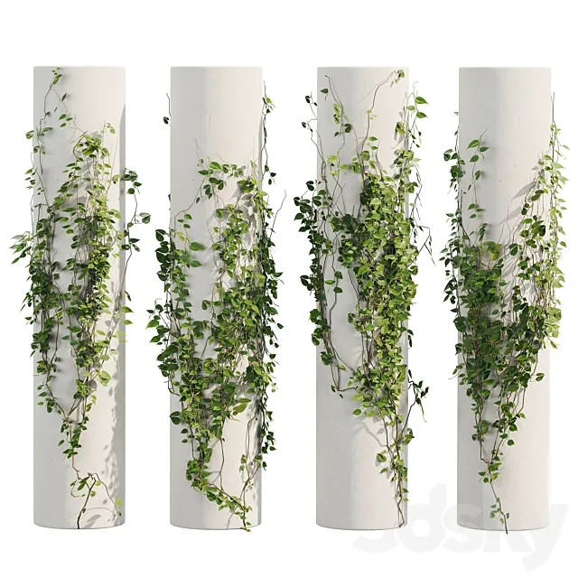 Ivy Plants 3DModel Ivy Plants 3DModel