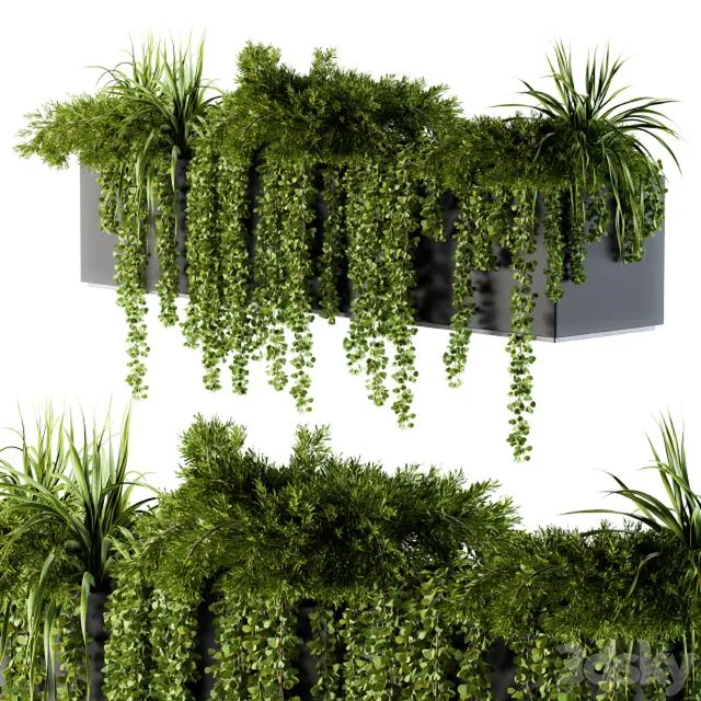 ivy plants in box – Outdoor Set 62 3D Model