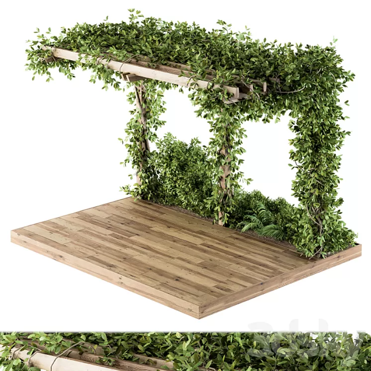 Ivy Plants on Pergola 3D Model