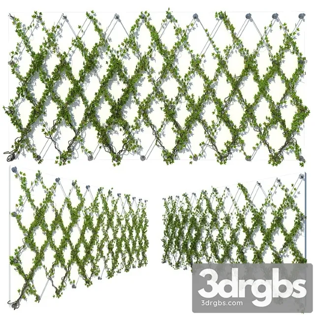 Ivy wall 10 Ivy wall 10