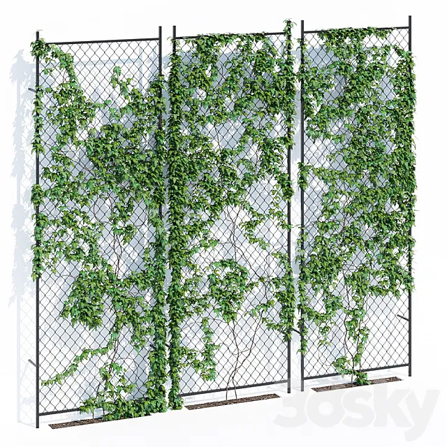 Ivy wall 3D Model Ivy wall 3D Model