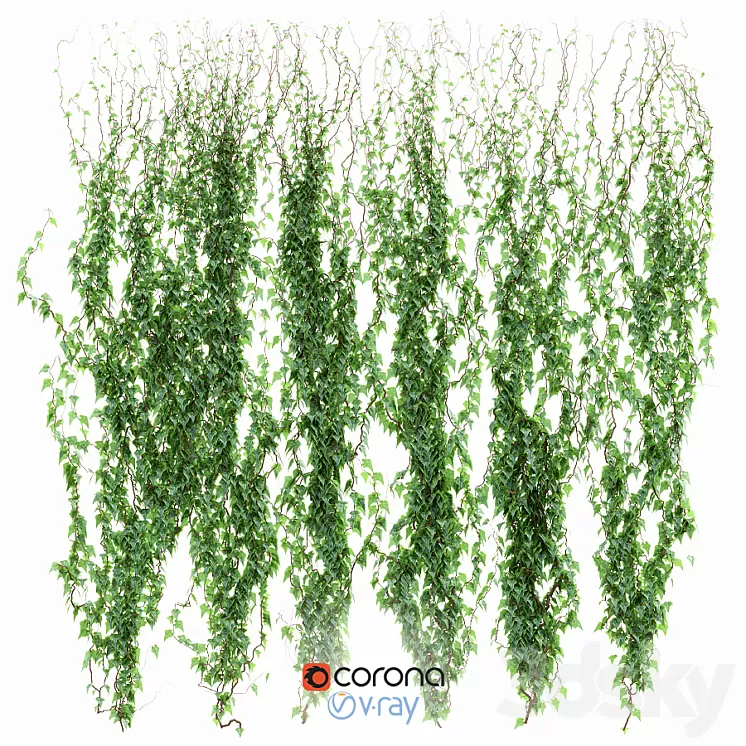 Ivy Wall 3D Model Ivy Wall 3D Model