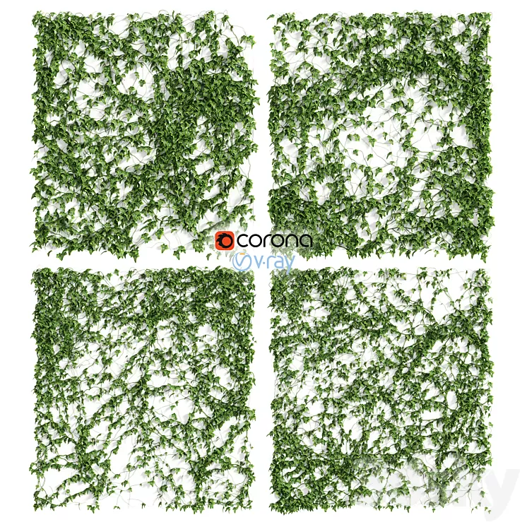 Ivy Wall 4 models 3D Model Ivy Wall 4 models 3D Model