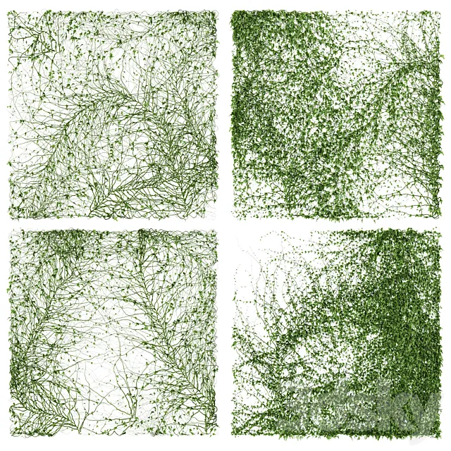 Ivy Wall. 4 models. v2 3D Model Ivy Wall. 4 models. v2 3D Model