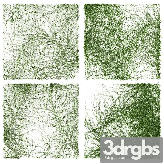 Ivy wall. 4 models. v2 Ivy wall. 4 models. v2