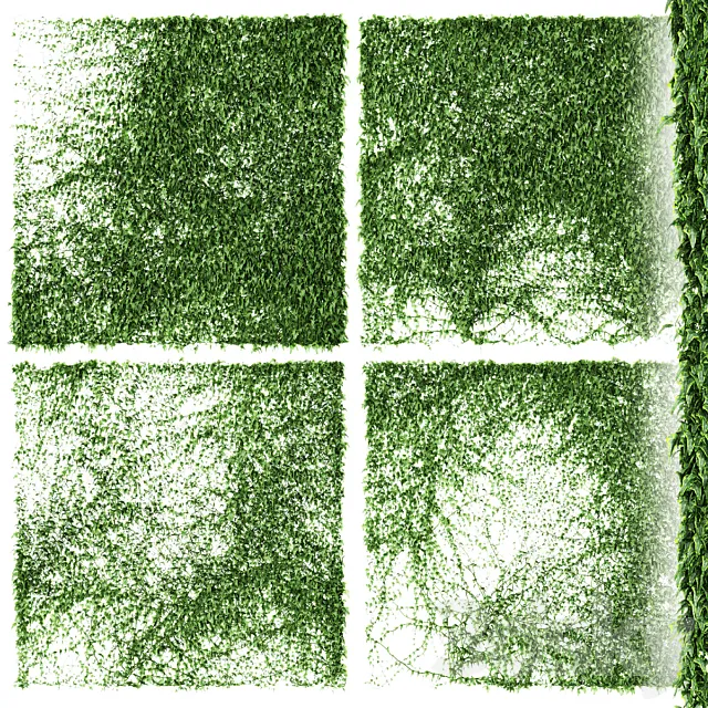 Ivy Wall. 4 models. v3 3D Model Ivy Wall. 4 models. v3 3D Model