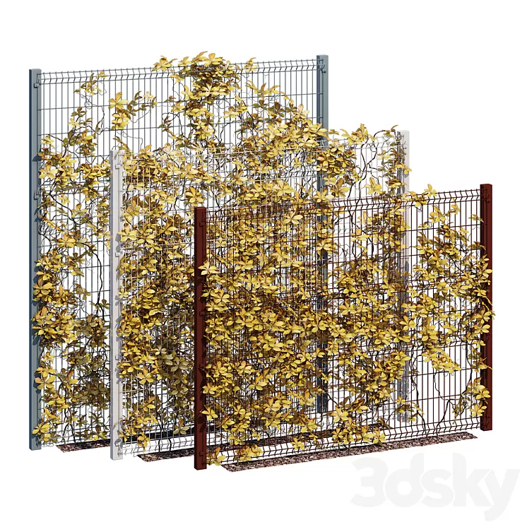 ivy wall ten 3D Model Free Download