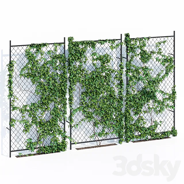 Ivy wall two 3D Model Ivy wall two 3D Model