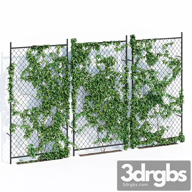 Ivy wall two Ivy wall two