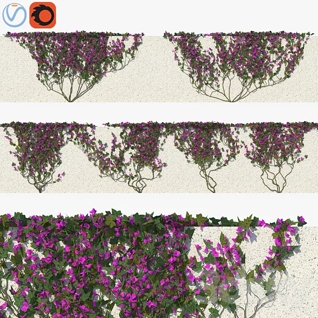 Ivy with Flowers 01 3D Model Ivy with Flowers 01 3D Model