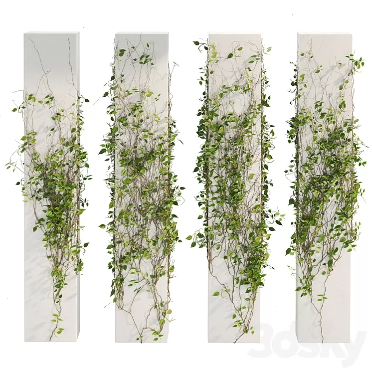 Ivy_Plants_01 3D Model Free Download