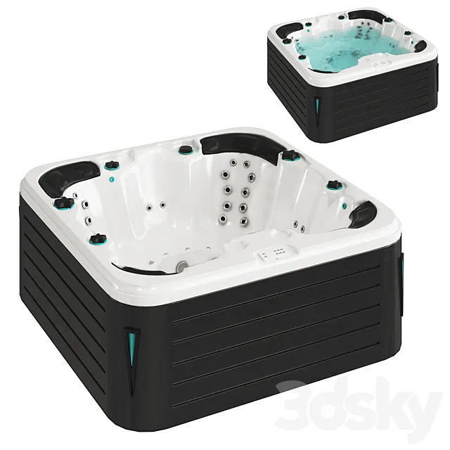 Jacuzzi SPA PassionSpas Rewind 3D Model