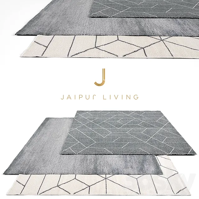 Jaipur Living Rug Set 9 3DModel