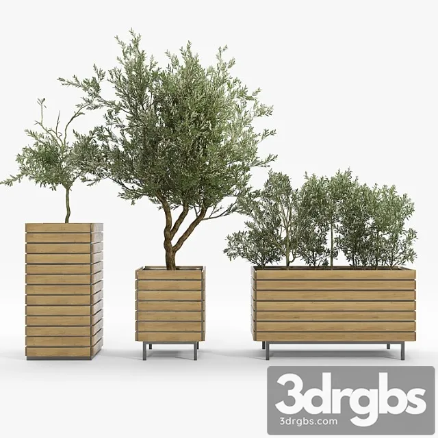 Jasper Rectangle Planter Olea Europaea 3D Model Download