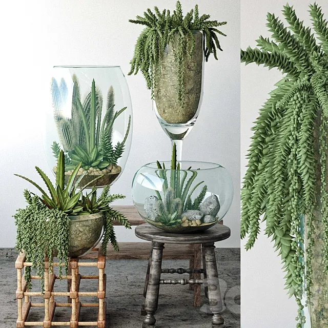 JC Small Garden in Glass Bowls 3D Model JC Small Garden in Glass Bowls 3D Model