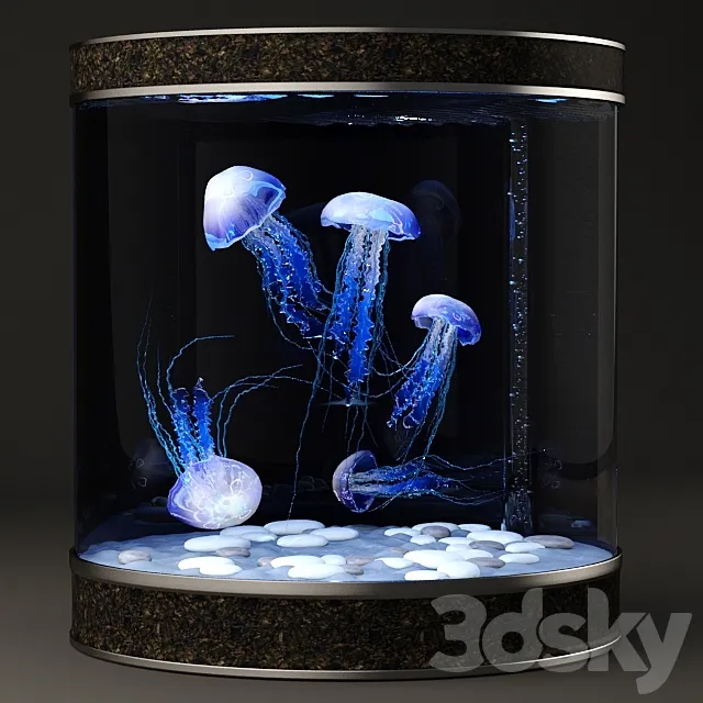 Jellyfish 3D Model