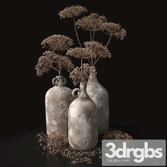 Jugs with dry dill stalks Jugs with dry dill stalks