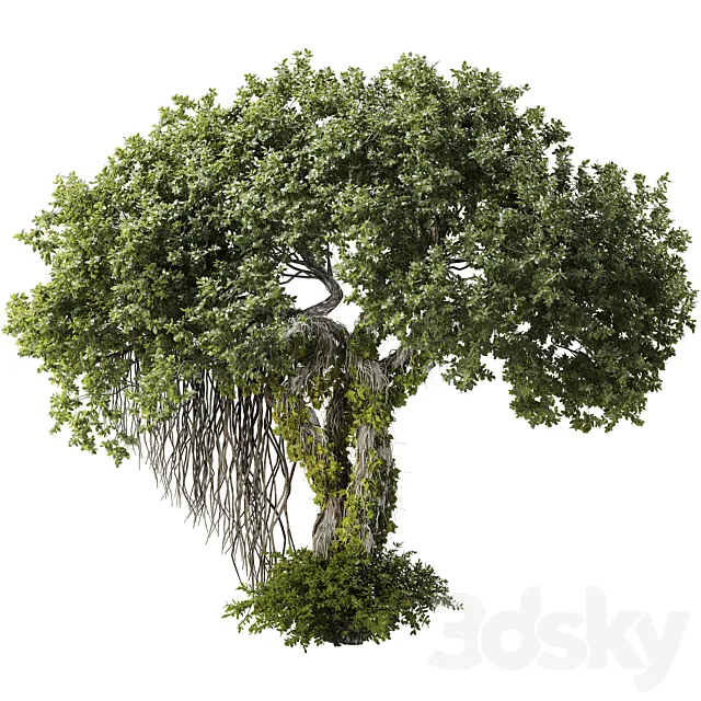 Jungle Tree and ivy plants 320 3D Model