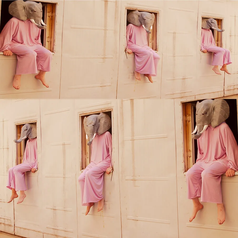 Karen Khachaturov – Elephant family 5 3D Model