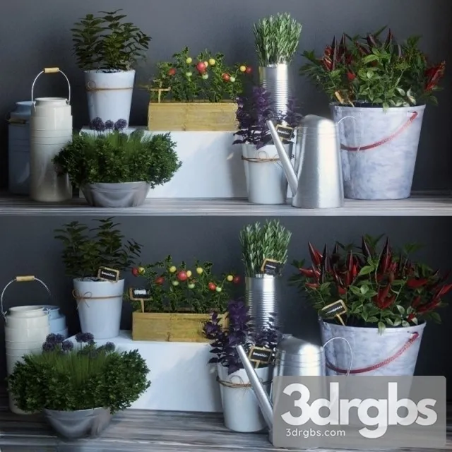 Kitchen garden 2 3D Model Download