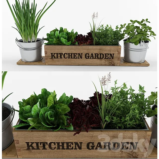 Kitchen garden 3D Model
