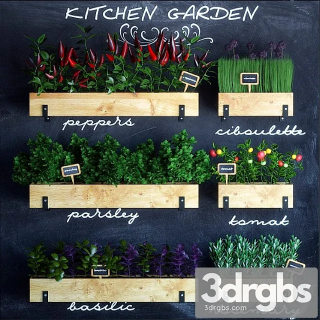 Kitchen garden 3D Model Download