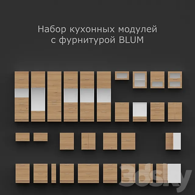 Kitchen units with fittings BLUM 3D Model